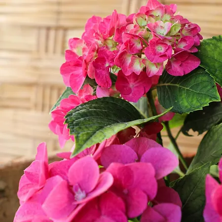 Casa Versomare بيت للعطل *