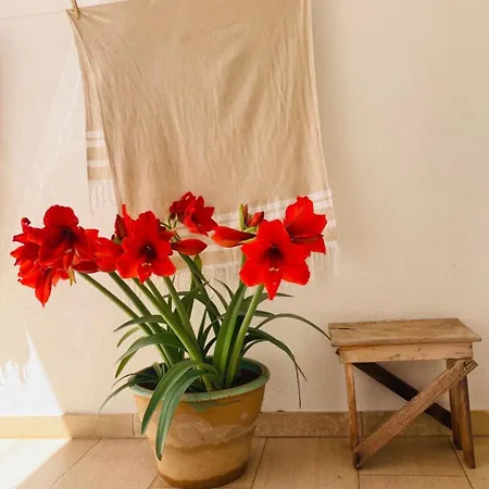 Casa Versomare بيت للعطل