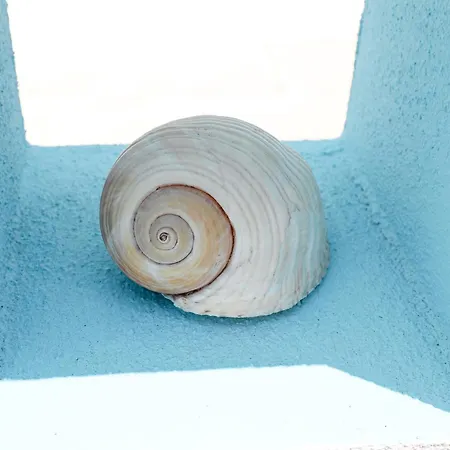 Casa Versomare Дом отдыха Гальяно-дель-Капо