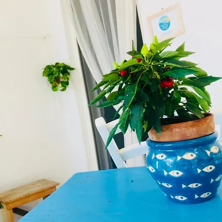 Vakantiehuis Casa Versomare